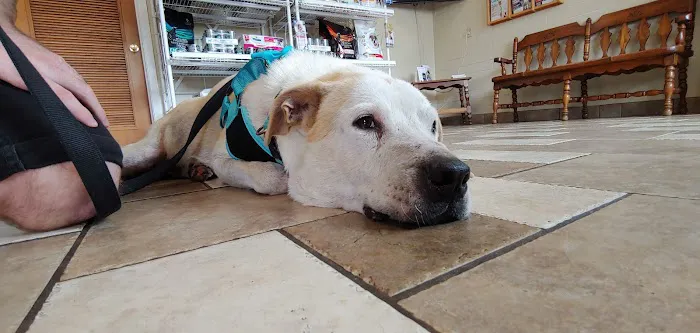 Stafford Veterinary Clinic Picture 4