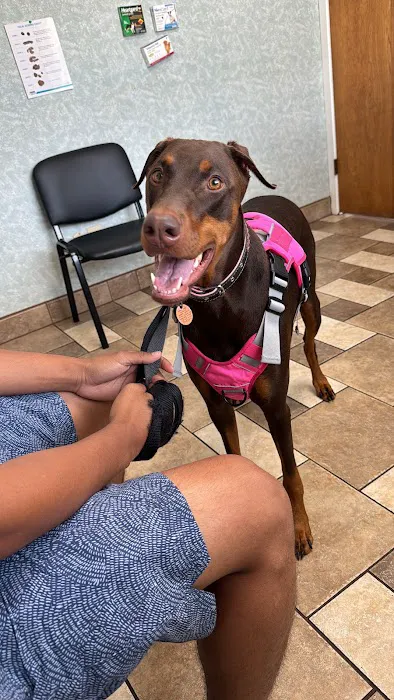 Stafford Veterinary Clinic Picture 5