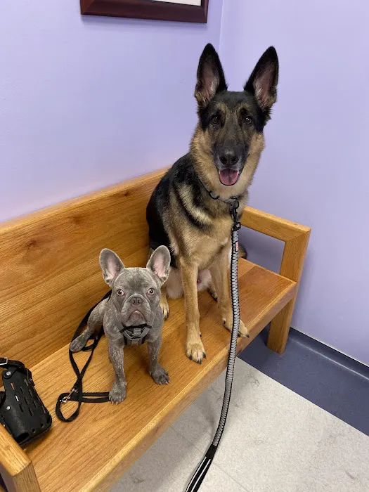 Sugar Land Pet Hospital Picture 6
