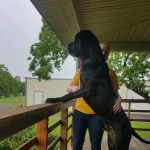 Sugar Land Pet Hospital