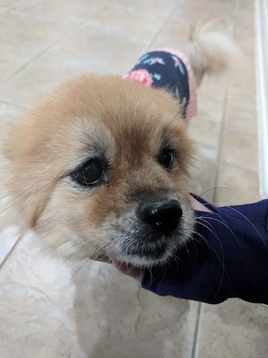 Kindred Care Pet Hospital Picture 3