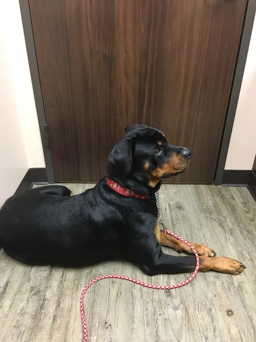 Kindred Care Pet Hospital Picture 9