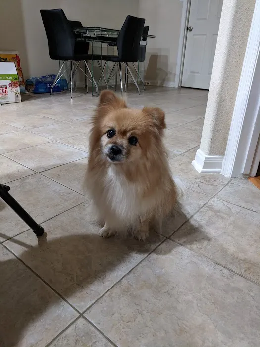 Kindred Care Pet Hospital Picture 2