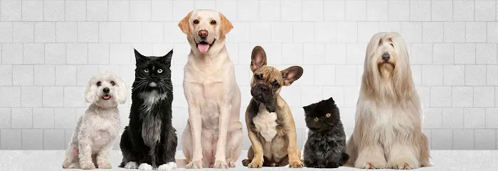Kindred Care Pet Hospital Picture 10