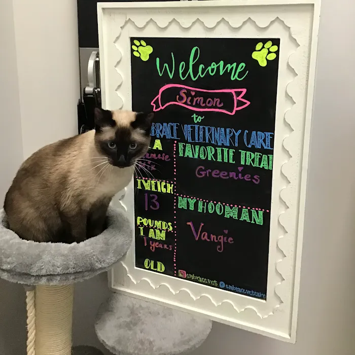 Embrace Veterinary Care-Animal Hospital-Richmond-Aliana Picture 10