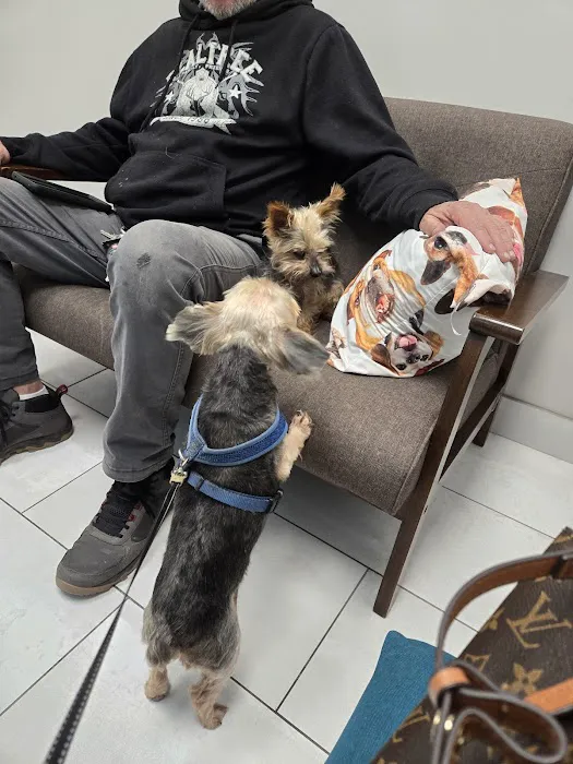 Embrace Veterinary Care-Animal Hospital-Richmond-Aliana Picture 3