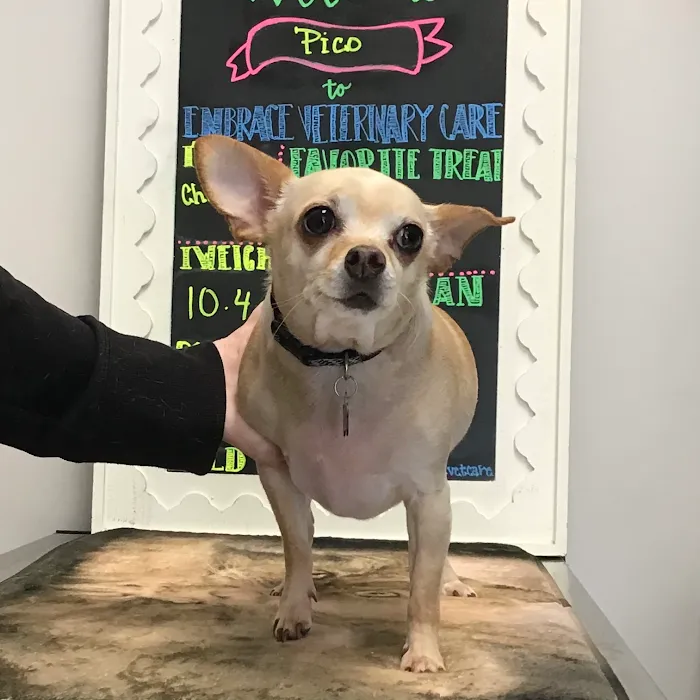 Embrace Veterinary Care-Animal Hospital-Richmond-Aliana Picture 7