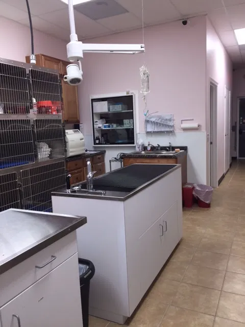Houston Animal Hospital Picture 4