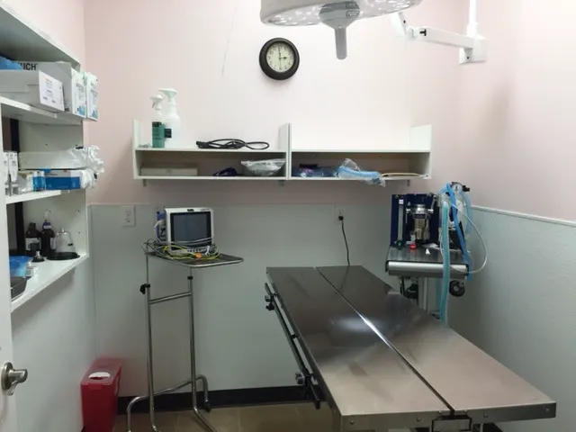 Houston Animal Hospital Picture 3