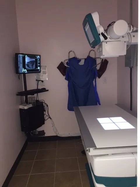 Houston Animal Hospital Picture 5