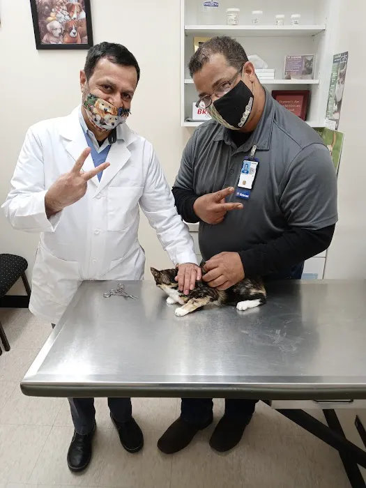 Aliana Animal Hospital Picture 6