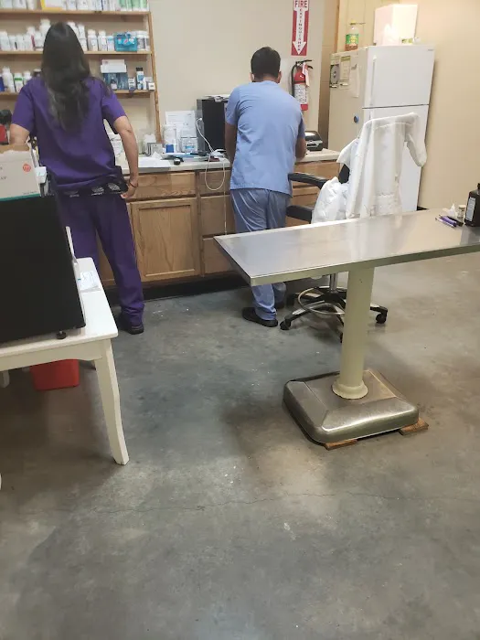 Pet Check Animal Clinic at Grand Mission Picture 1