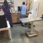 Pet Check Animal Clinic at Grand Mission