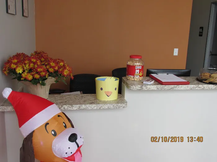 Neighborhood Pet Hospital Picture 4
