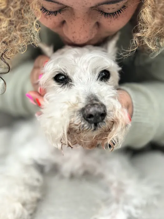 Neighborhood Pet Hospital Picture 6