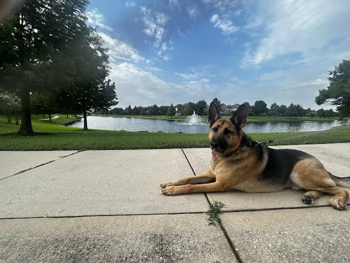 Happy Pets Vets Picture 6