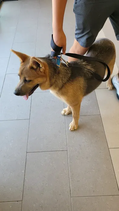 Happy Pets Vets Picture 2