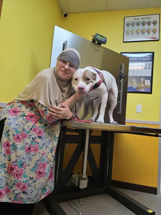 Happy Pets Vets Picture 8
