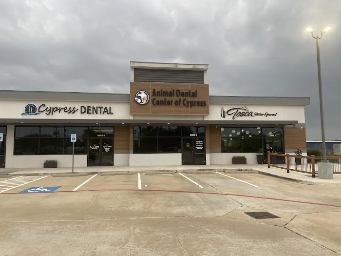 Animal Dental Center of Cypress Picture 4