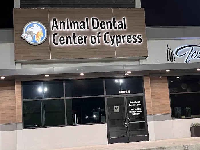 Animal Dental Center of Cypress Picture 5