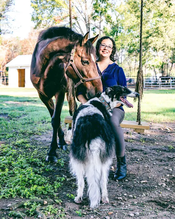 Animal Dental Center of Cypress Picture 8