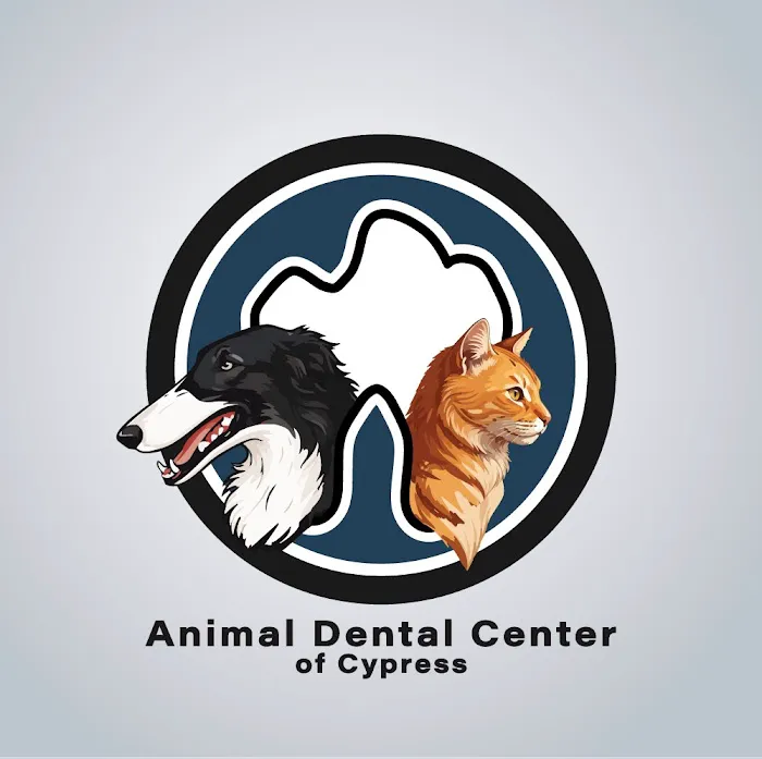 Animal Dental Center of Cypress Picture 9