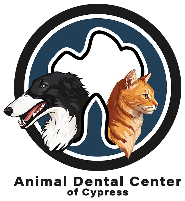 Animal Dental Center of Cypress Picture 10