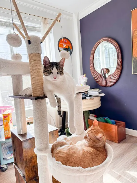 Lakeside Veterinary Care Picture 6