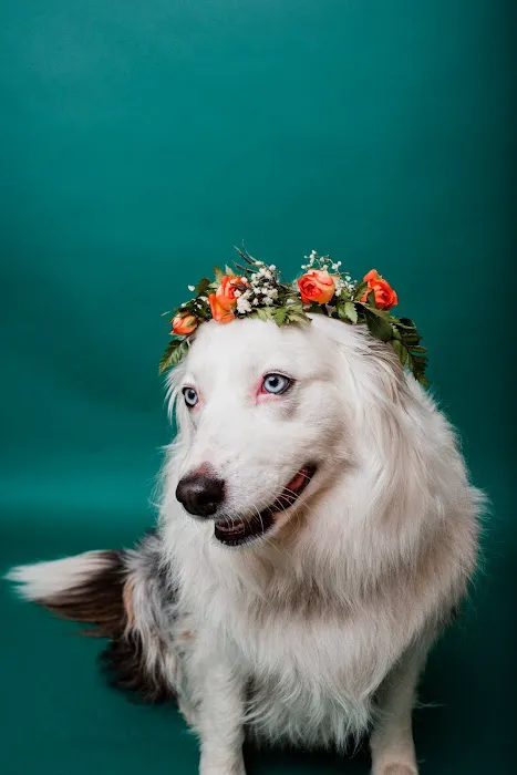 Lakeside Veterinary Care Picture 7