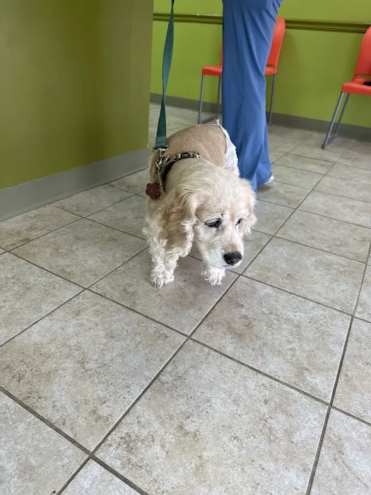 Neighbors' Animal Wellness Clinic Picture 3