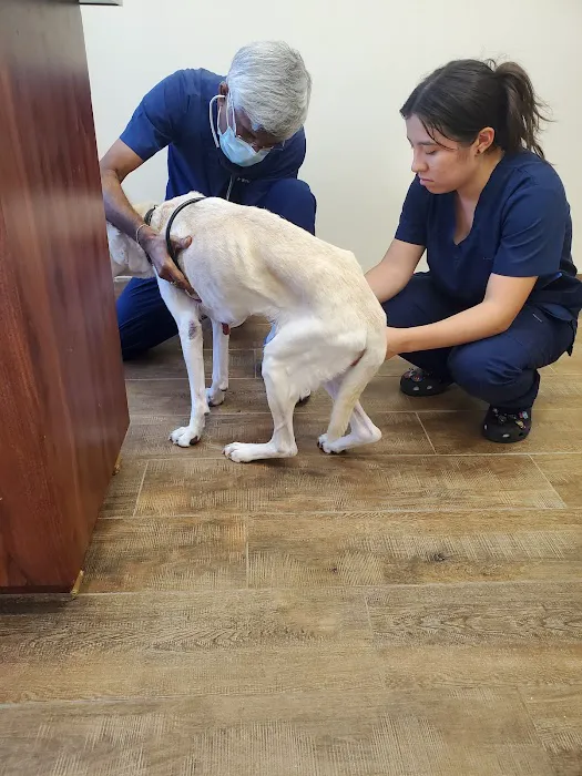 Affordable Pet Clinic Katy Picture 3