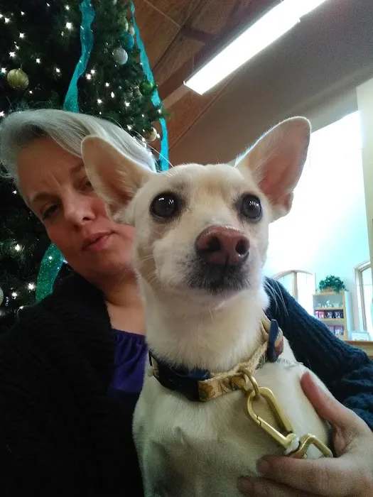 Mayde Creek Animal Health Center Picture 3