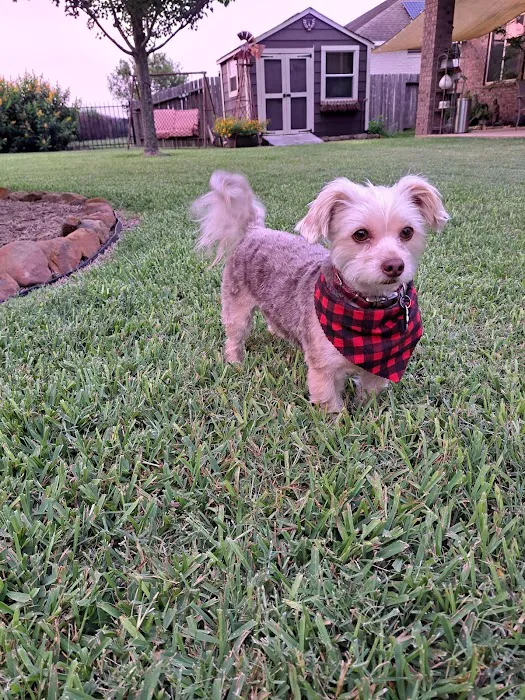 Mayde Creek Animal Health Center Picture 8