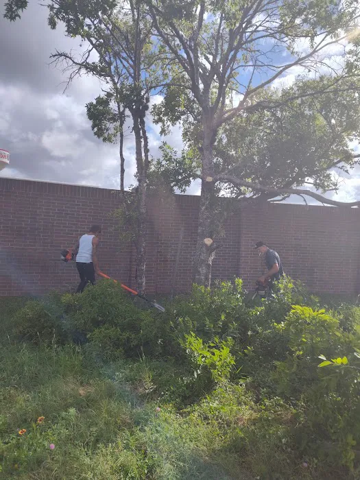 Fry Road Animal Clinic Picture 2