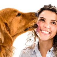 Fry Road Animal Clinic ico