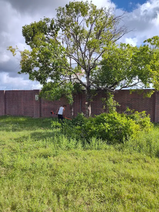 Fry Road Animal Clinic Picture 4