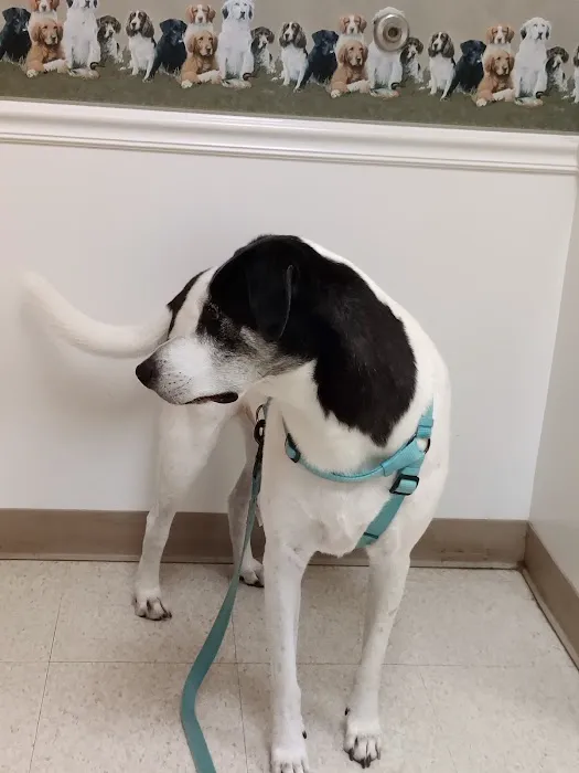 Fry Road Animal Clinic Picture 6