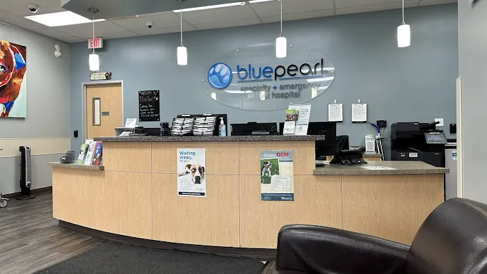 BluePearl Pet Hospital Katy Picture 7