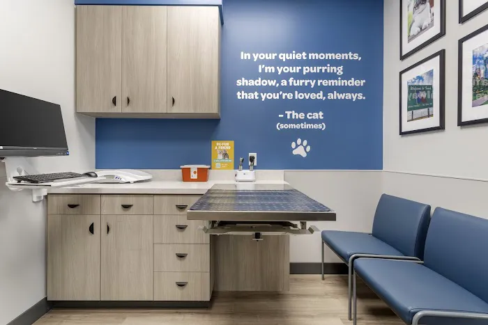 Livewell Animal Hospital of Cypress Picture 10