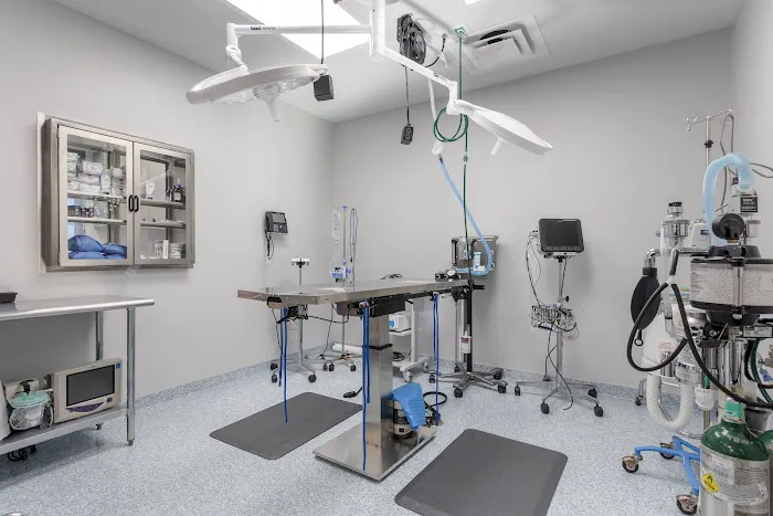 Livewell Animal Hospital of Cypress Picture 1