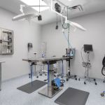 Livewell Animal Hospital of Cypress