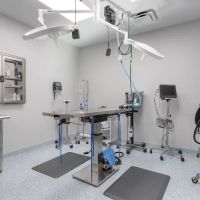 Livewell Animal Hospital of Cypress ico