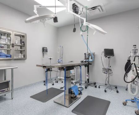 Livewell Animal Hospital of Cypress