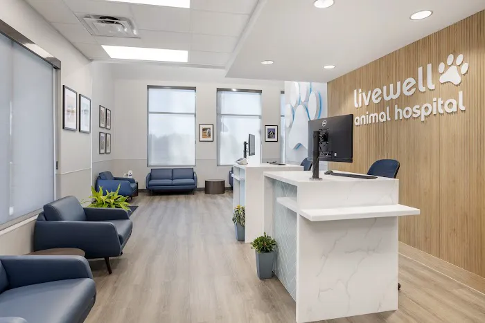 Livewell Animal Hospital of Cypress Picture 4