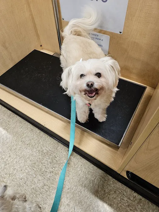 Banfield Pet Hospital Picture 7