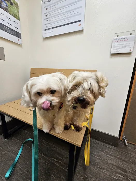Banfield Pet Hospital Picture 2