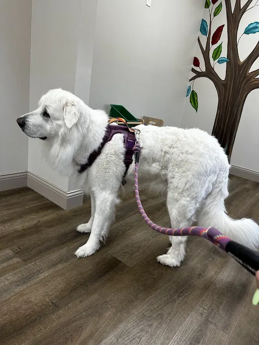 Lone Star Veterinary Hospital Picture 4