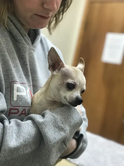Lone Star Veterinary Hospital Picture 6