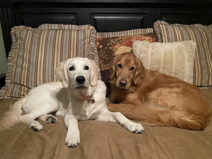 Lone Star Veterinary Hospital Picture 9