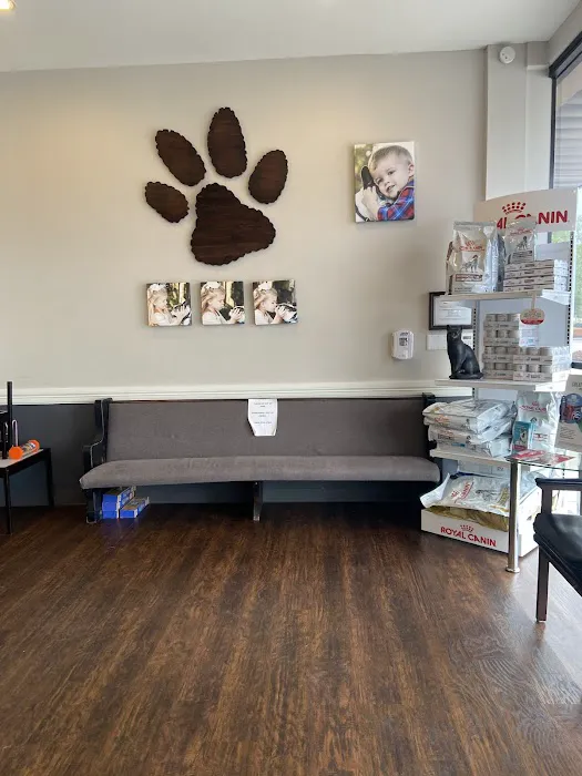 Vanguard Veterinary Clinic - Cypress Picture 2